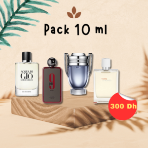9 pm rebel + Acqua Di Gio EDP + Terre d'Hermès Eau très fraîche + Invictus EDT