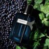 Y Eau de Parfum Intense – Yves Saint Laurent