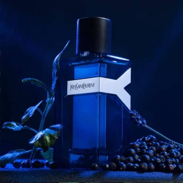 Y Eau de Parfum Intense – Yves Saint Laurent