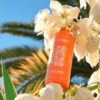 Holy Neroli – Montale Paris