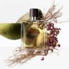 Terre d’Hermès Eau Intense Vétiver