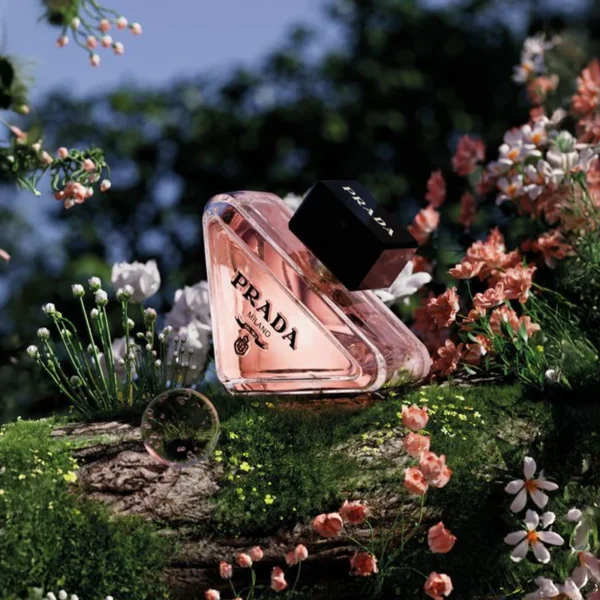 Prada Paradoxe