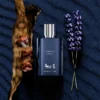 L'Absolu Carbon – Atelier des Rêves